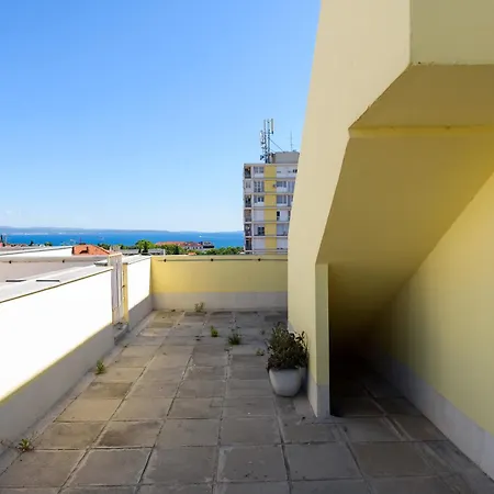 Apricus * Split